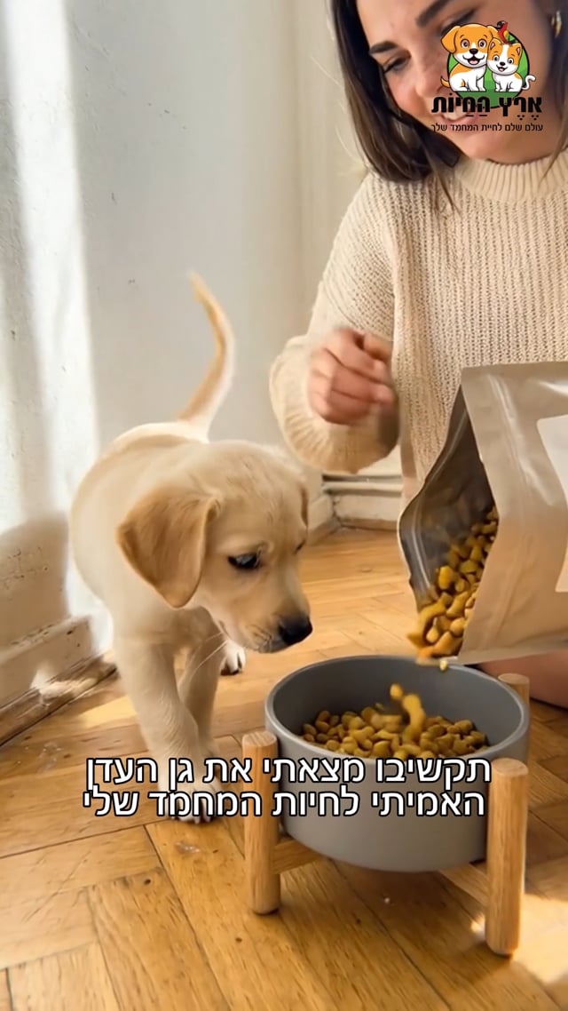 ארץ החיות קלרה