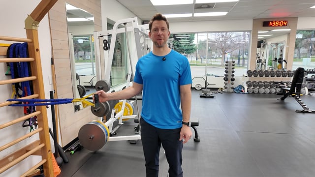 Single arm banded internal rotation twist behind back