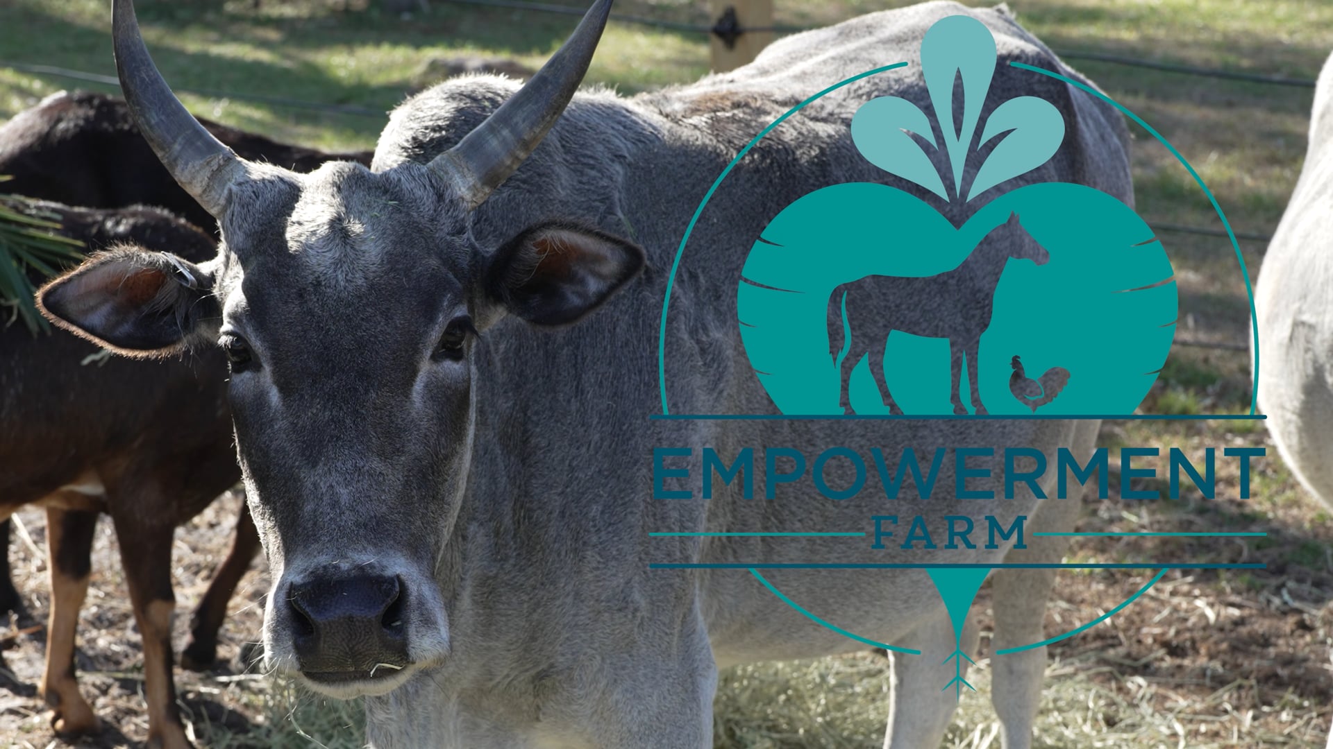 Empowerment Farm Event Video - 2026