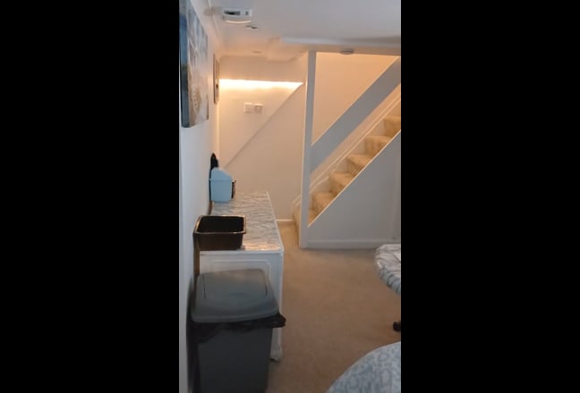 Large newly  refurbished basement room to rent  Main Photo