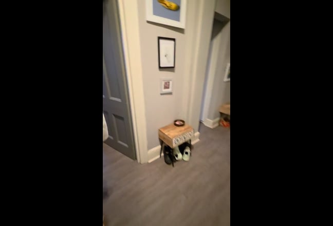 1br in v large 2br flat on High St Ken, Hyde Park Main Photo