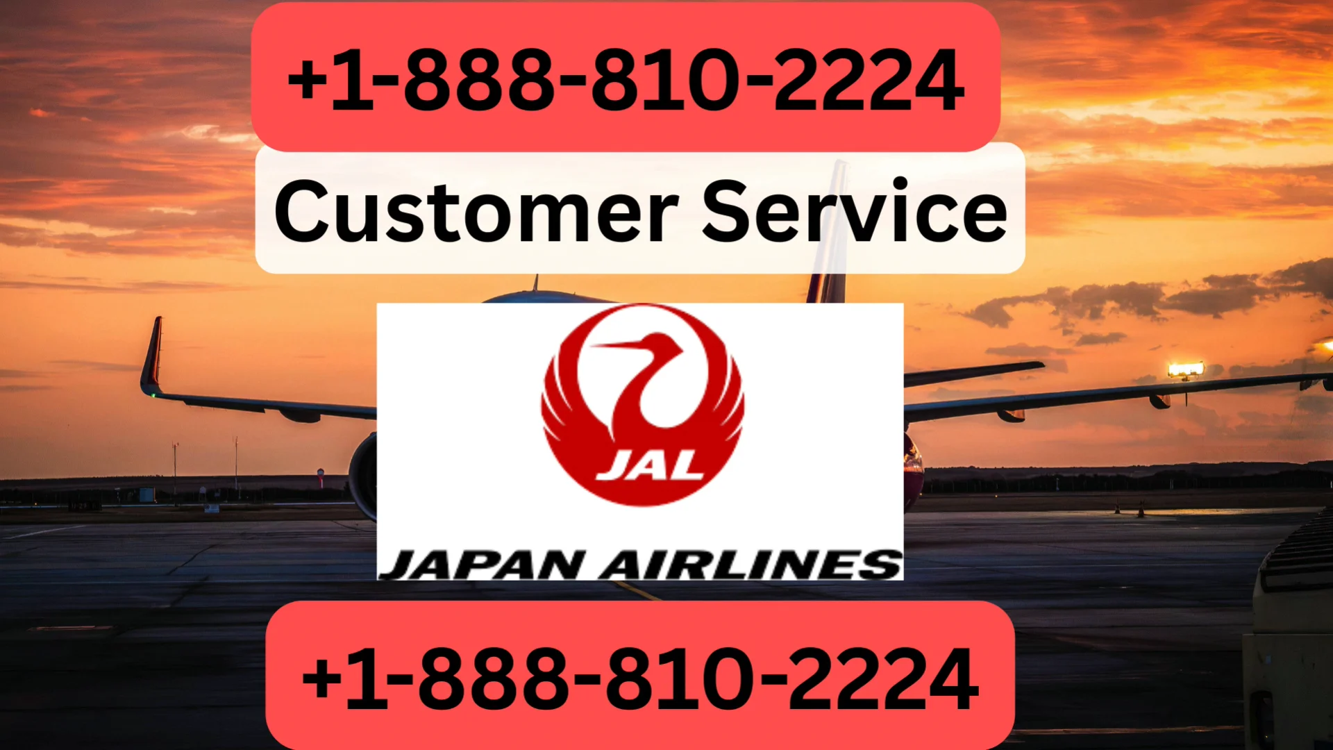 Japan Airlines Customer Service | Complete Traveler Support Guide