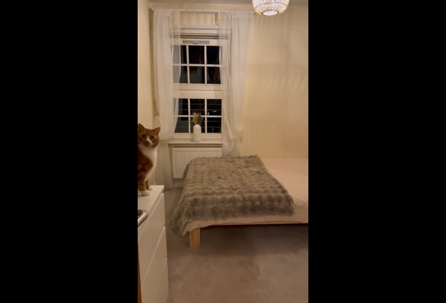 Double room in beautiful flat Main Photo