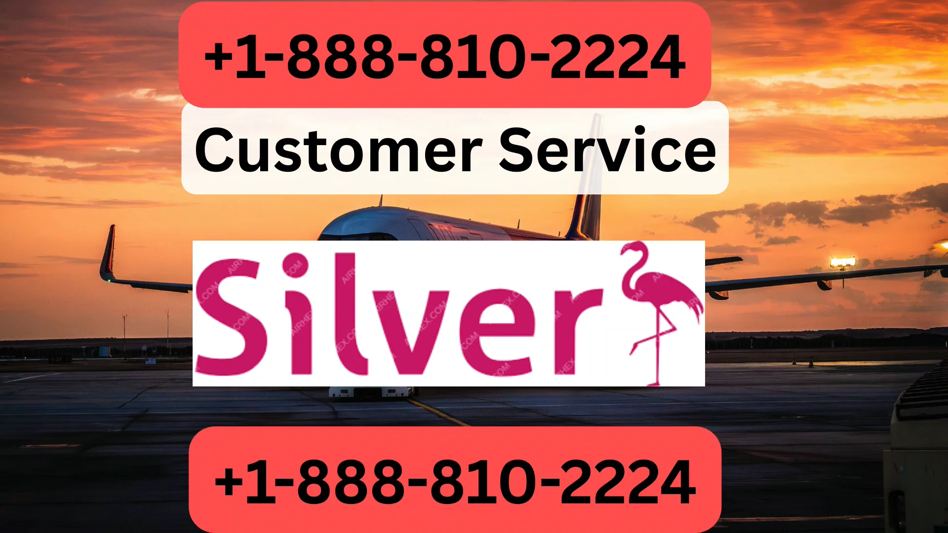Silver Airways&reg; Customer Service Complete Guide = Step-by-Step Help & Support 24/7 Silver Airways