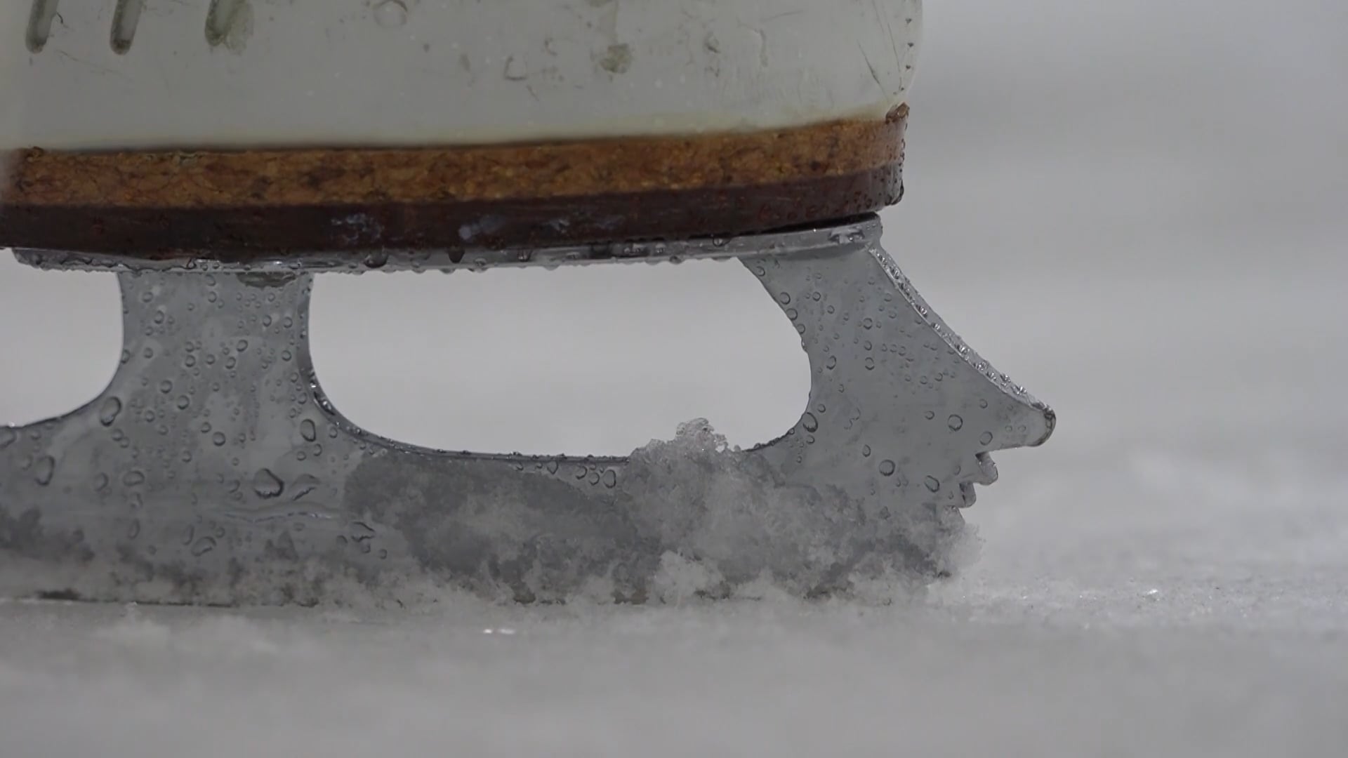 Gliding Through Lunch