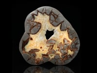 Septarian Slice B0288 video 1