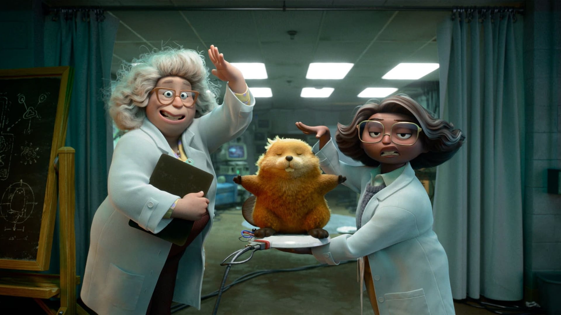 Hoppers – DIG30 "Hopping 101"