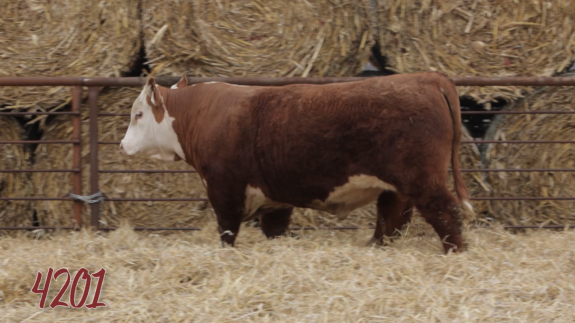 Lot 4201 SRR MR 0921 TESTED 4201