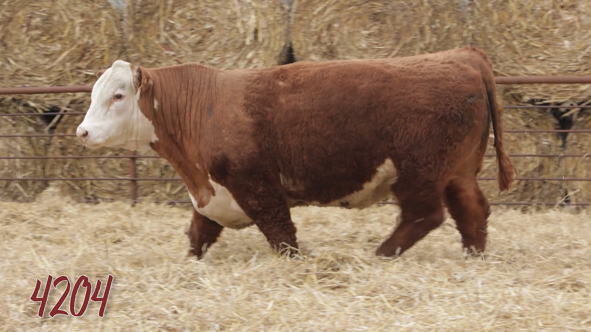 Lot 4204 SRR MR 0921 TESTED 4204