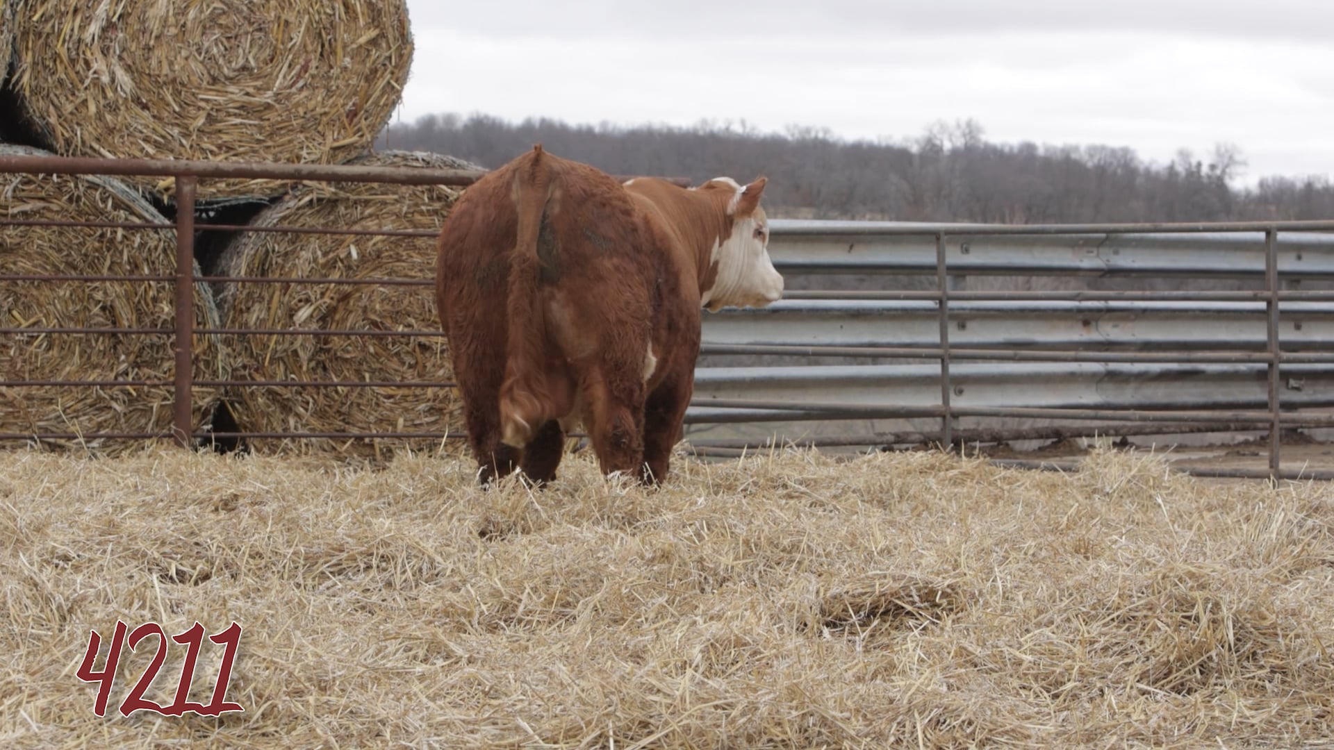 Lot 4211 SRR MR 0921 TESTED 4211