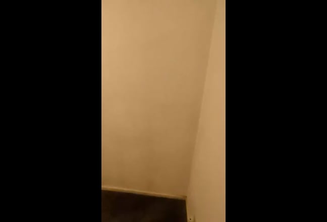 Video 1: 
