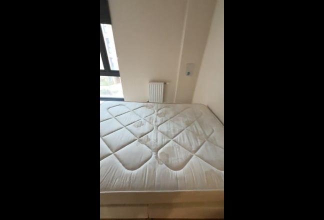 Room to rent in Rotherhithe  Main Photo