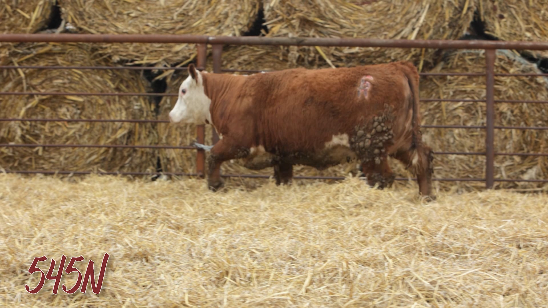 Lot 545 SRR MISS 0921 TESTED 545N