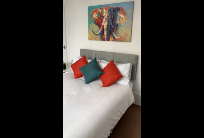 1 Spacious room available - great shared home! Main Photo