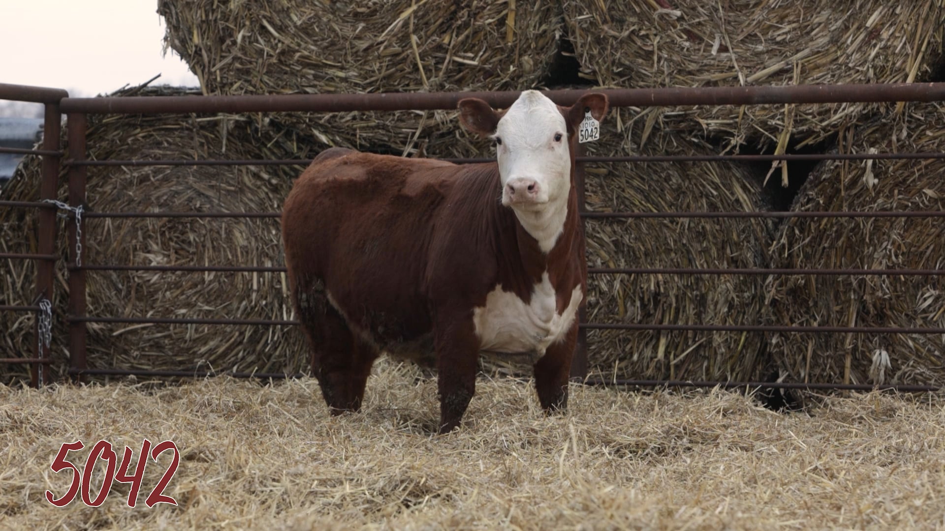 Lot 5042 SRR MS 3022 DELIVERY MAN 5042