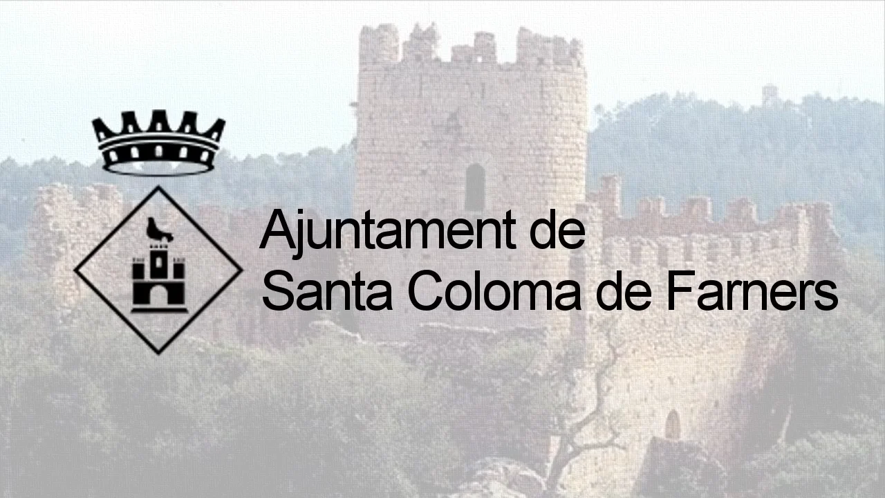 Pleno ordinario 22 de Diciembre de 2025