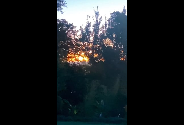  Deluxe  large King size roorent out for 1 person  Main Photo