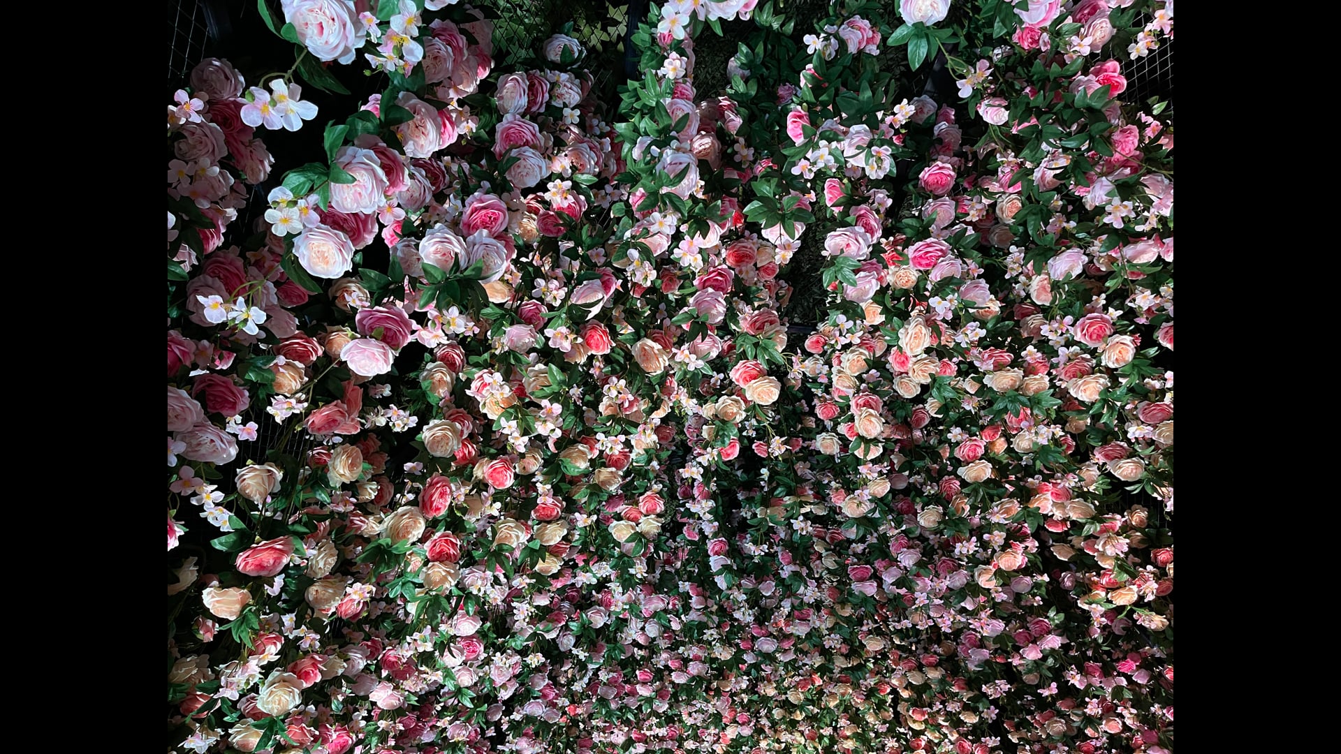 2026 February 09: Our Fundamental Goodness was Present at Every Age