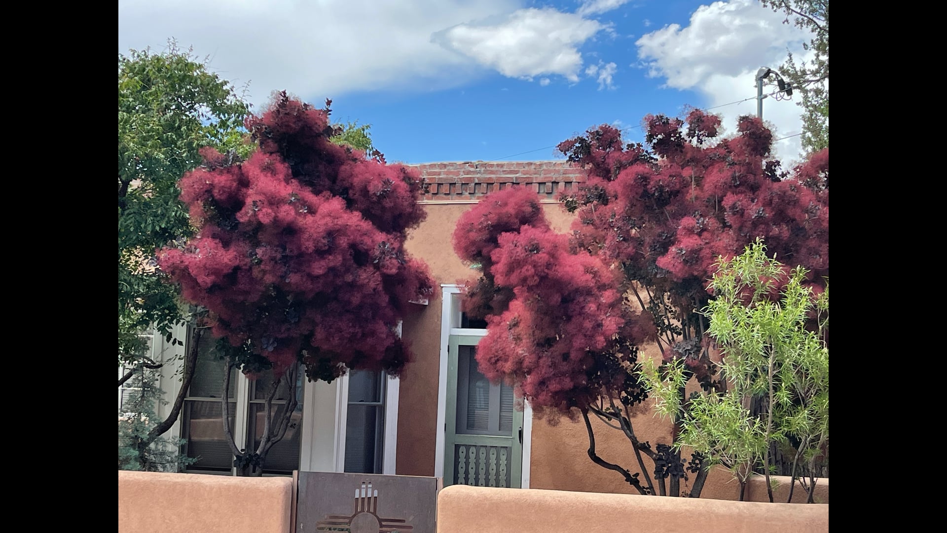 2026 February 18: Young at Heart