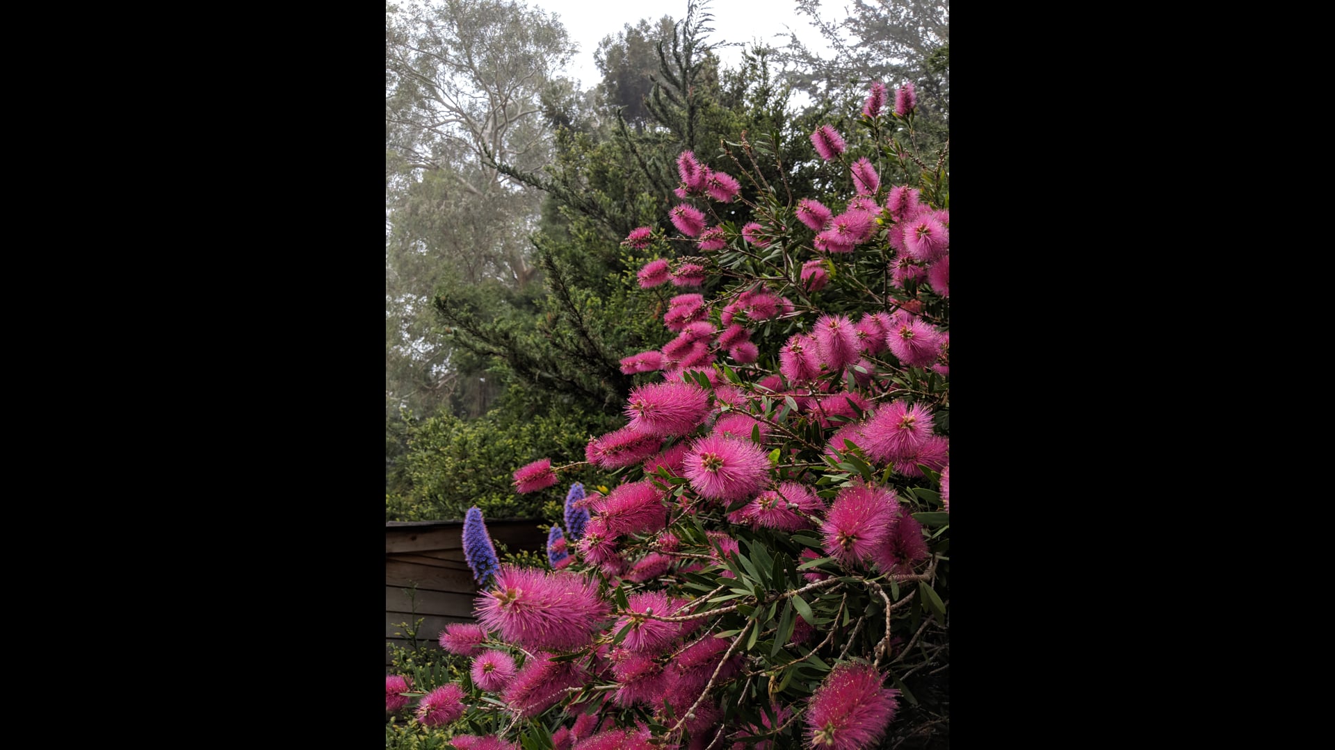 2026 February 23: Exploring Levels of Acceptance of Aging