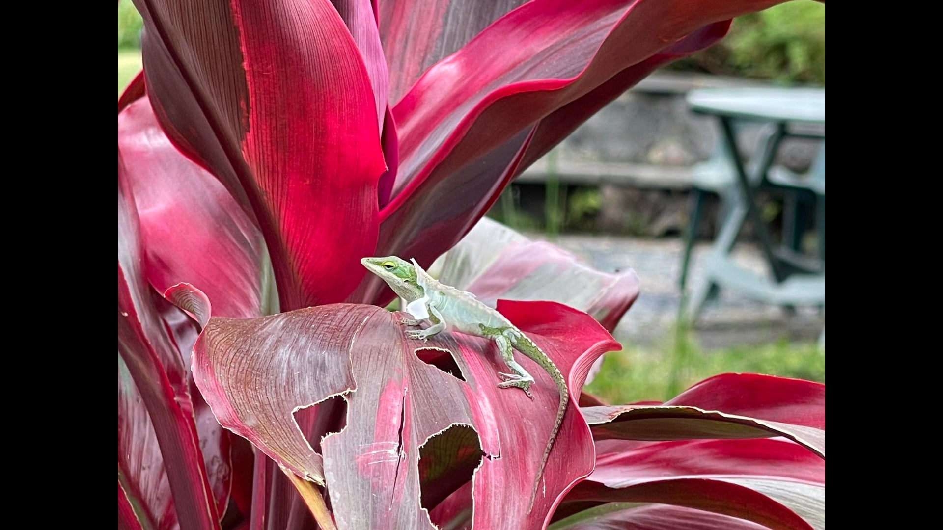 2026 February 25: Becoming Elders