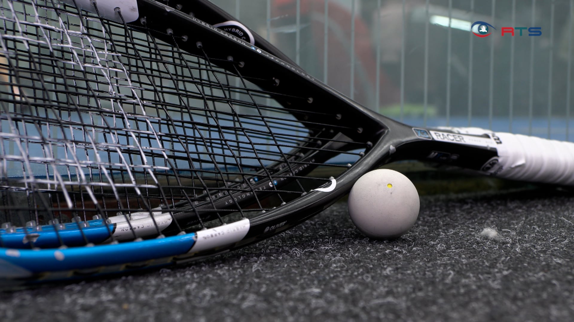 packendes-finale-bei-der-austrian-squash-challenge-im-salzburger-messezentrum