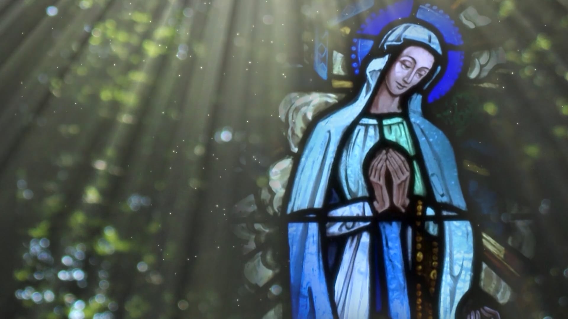 Reflexiones - Ciencia Y Fe