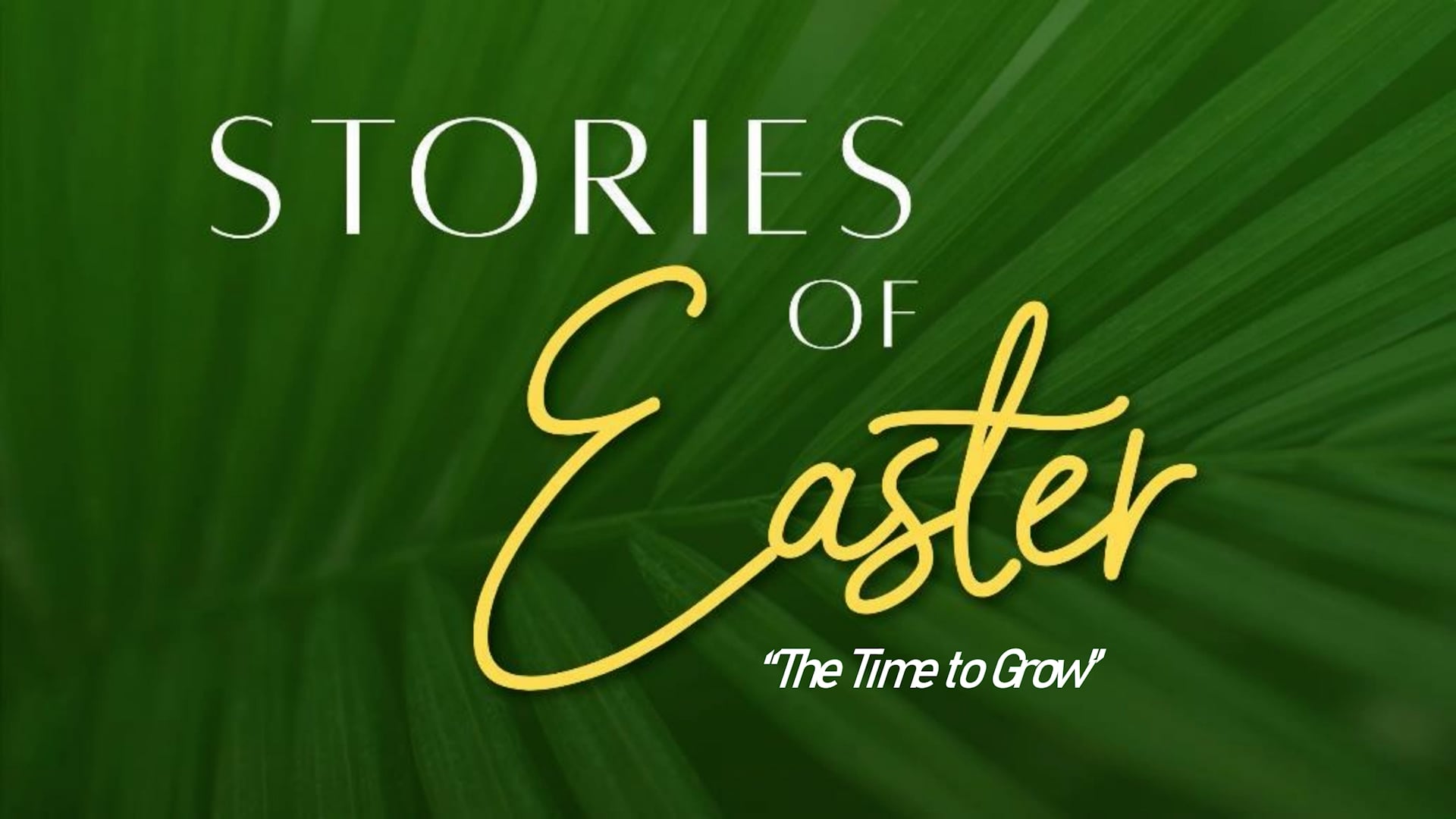 The Time to Grow | March 8, 2026