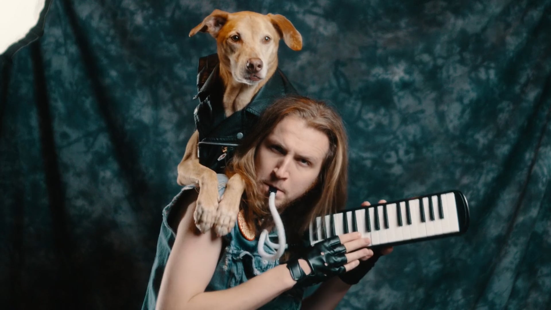 GoodCharlie - Pet People