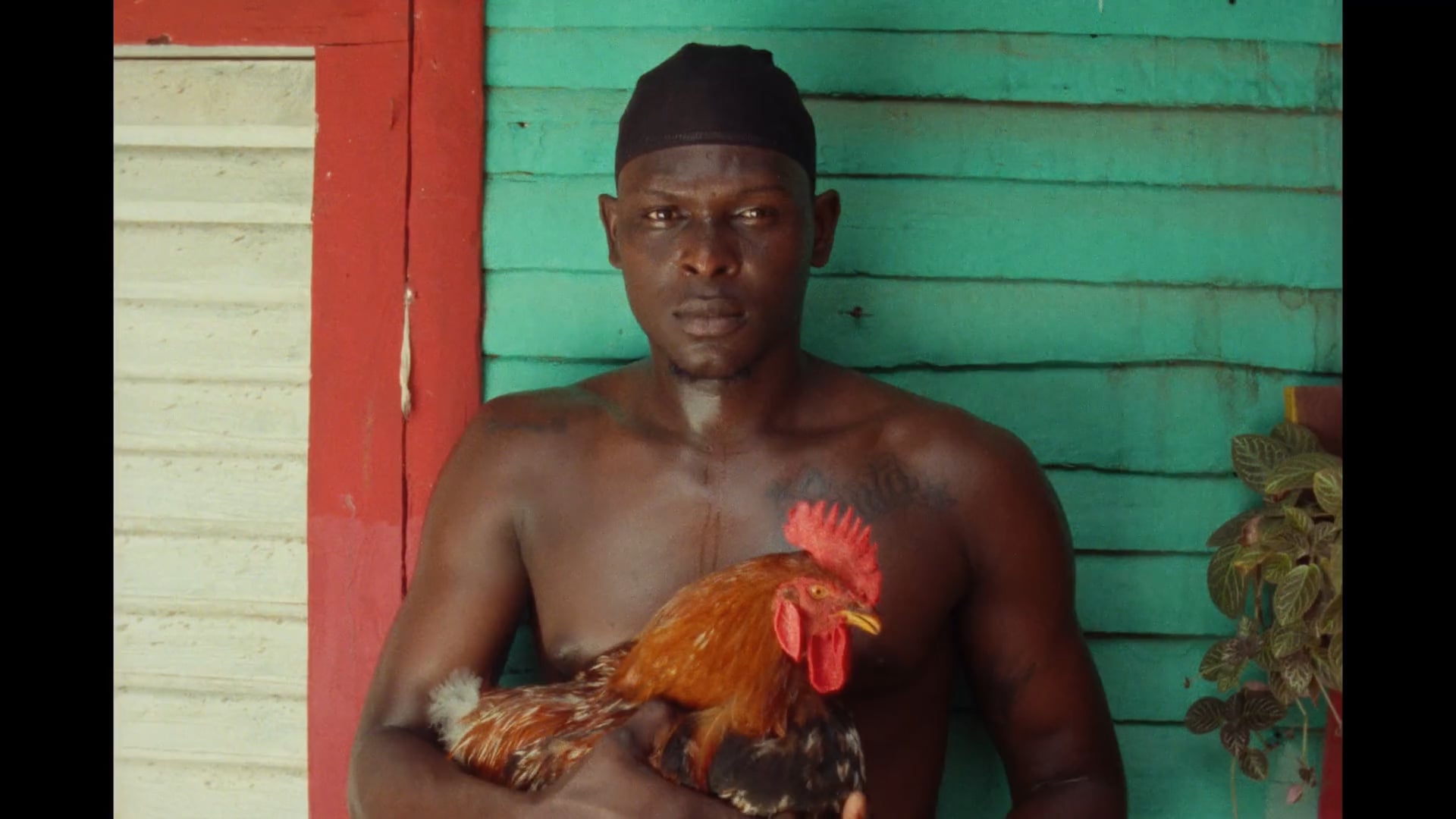 SUIZA Music Video Teaser 2