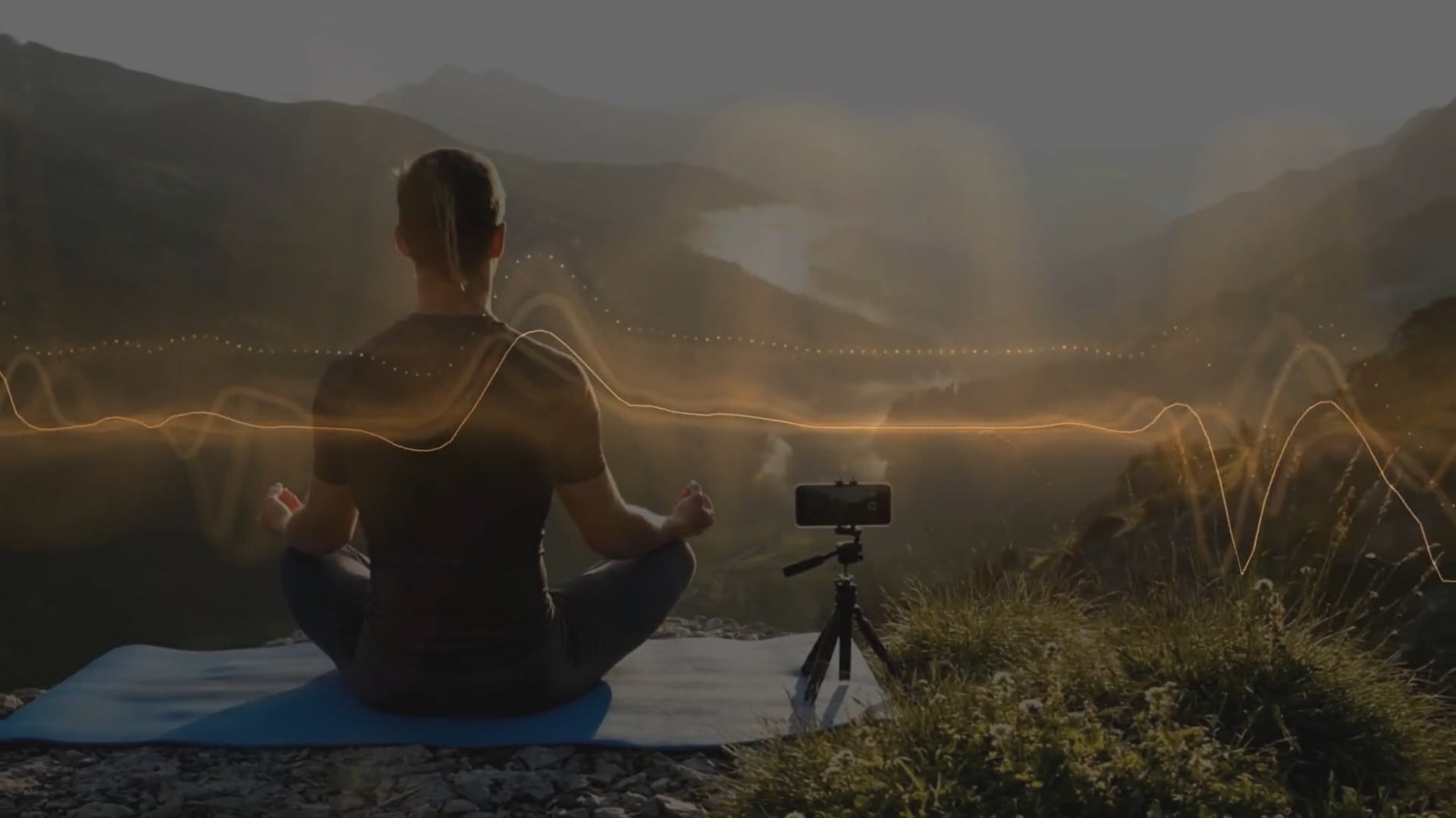 LYN iPatches Bioenergetic Frequency Disks