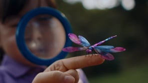 Related Embedded Video Item Thumbnail