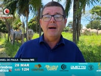 Grandes Criatórios<br>Sete Estrelas