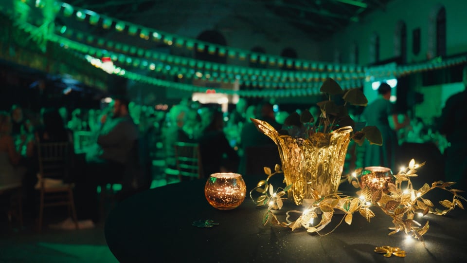 Highlights from "A Night In Eire" Gala