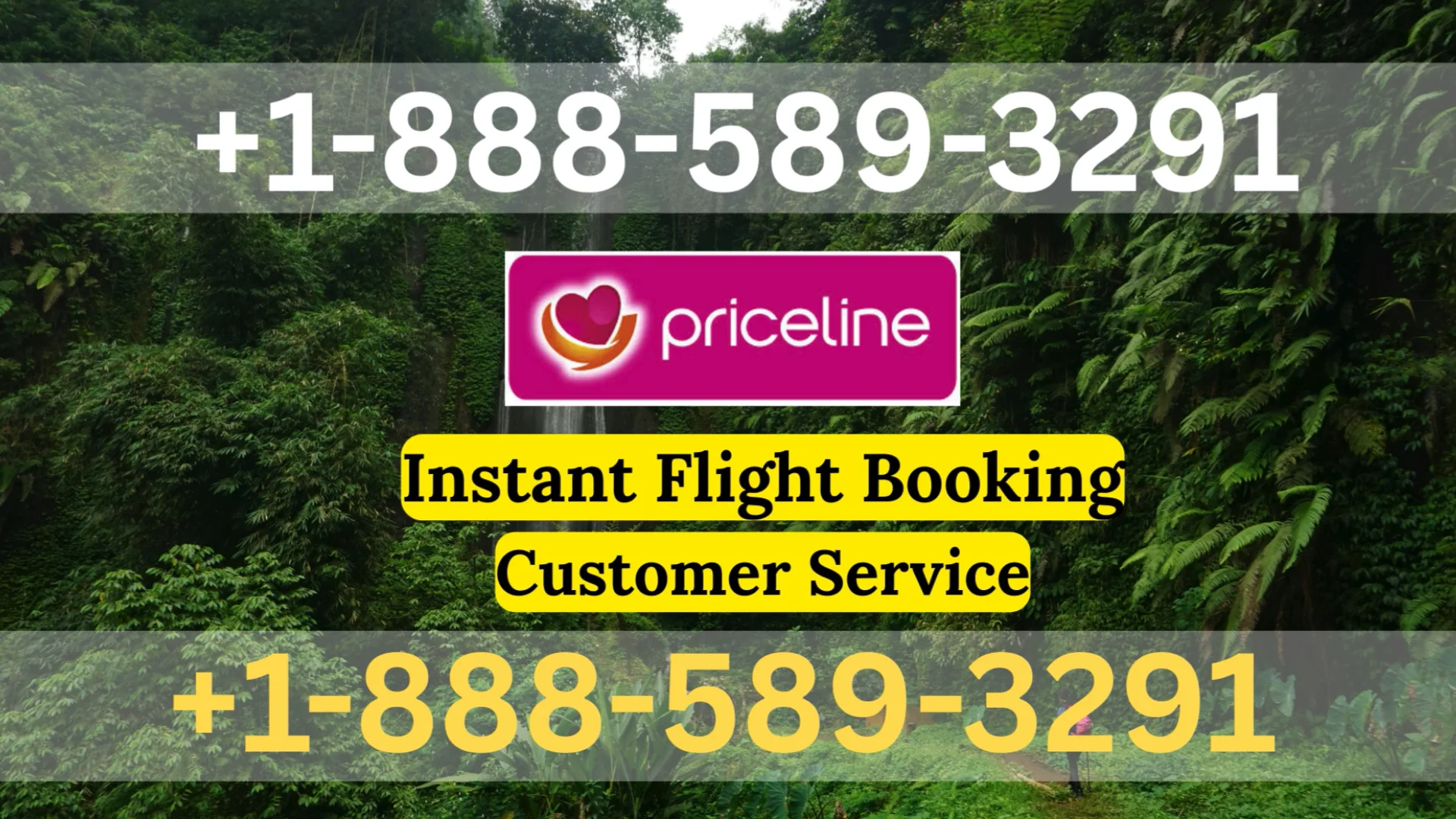 {Official} Priceline&trade;&reg; Customer Service Simple Guide | Step-by-Step Help & Support Explained
