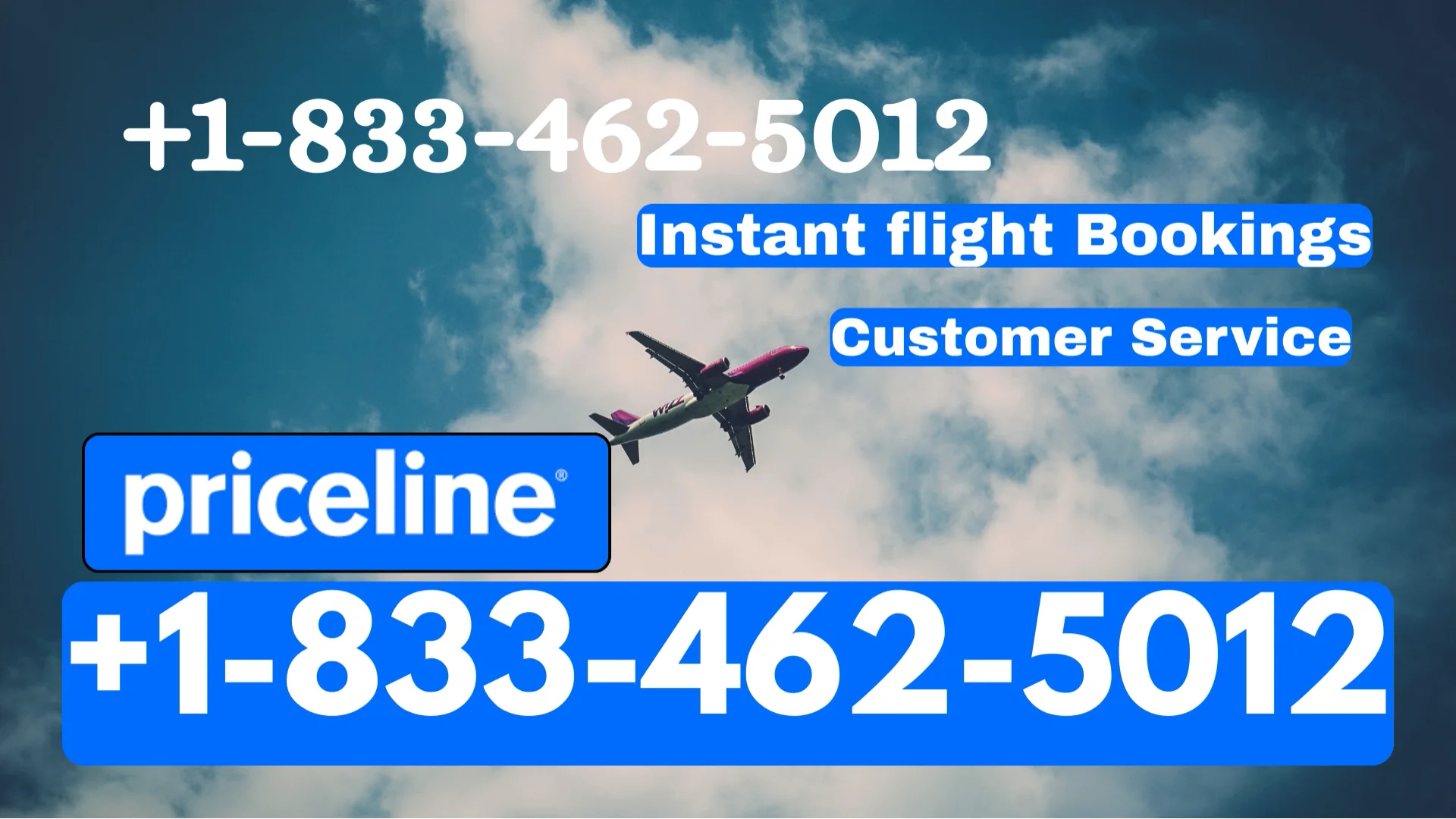 Priceline&reg; Customer Service Complete Guide = Step-by-Step Help & Support 24/7 Priceline&reg;