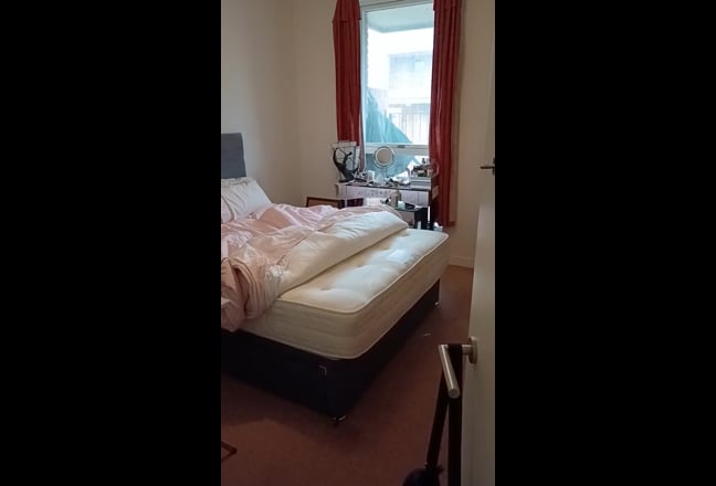 Huge Room in Calm Home Main Photo