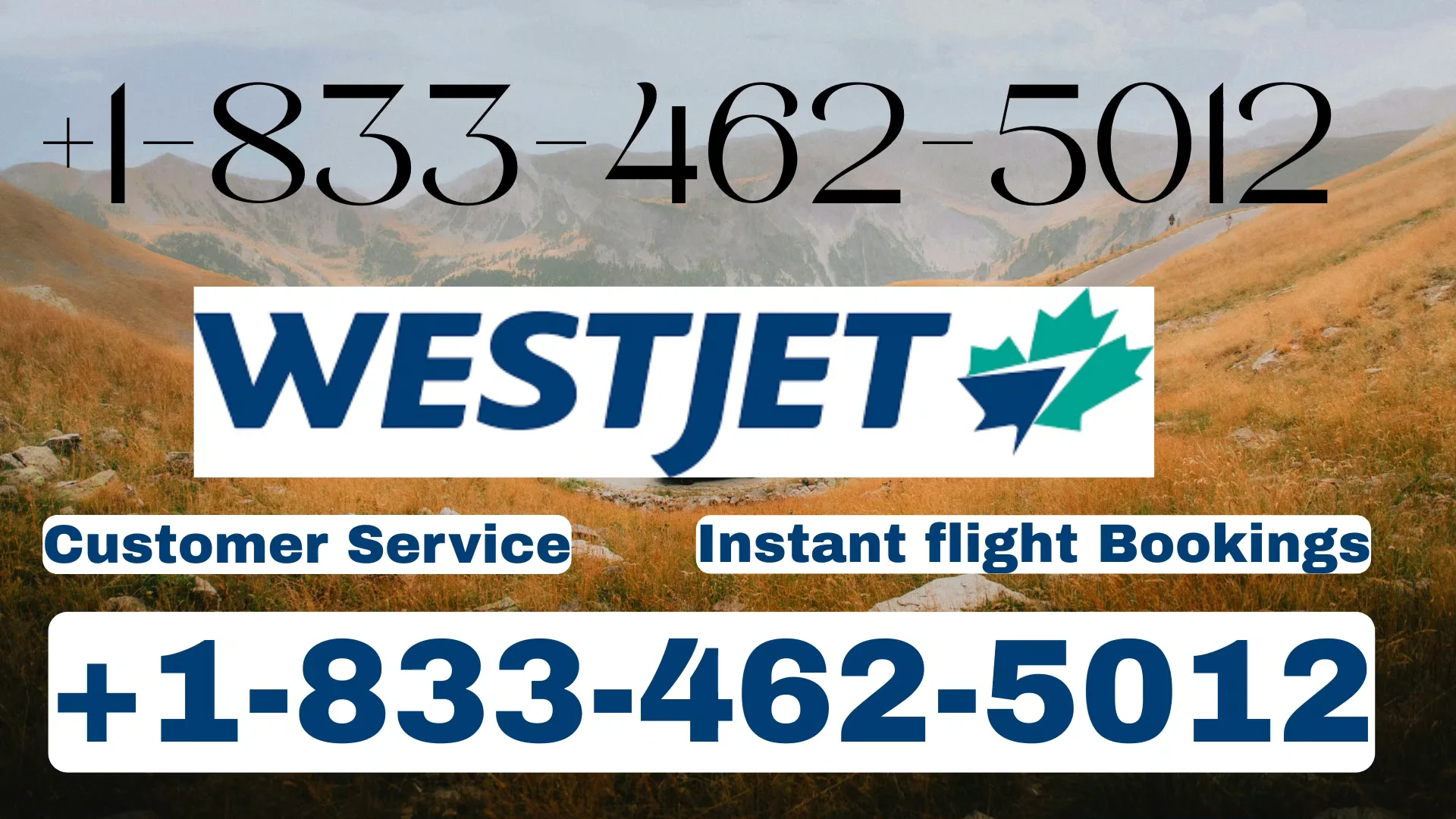 Westjet Airlines &reg; Customer Service | Your Full {24/7} Help Live Person Support and Detailed Traveler&rsquo;s Guide