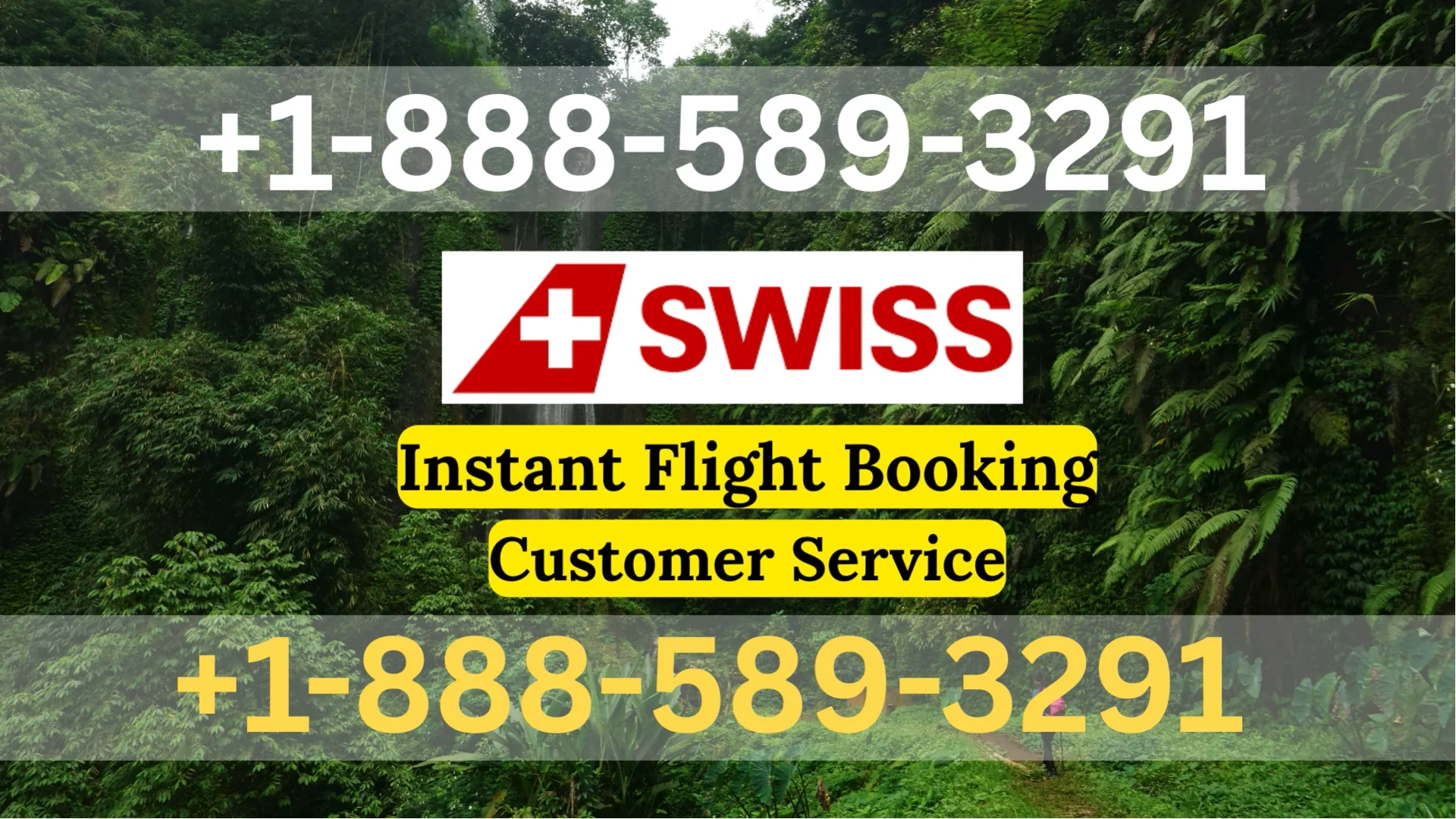 {Ultimate} Swiss Airlines&trade;&reg; Customer Service Simple Guide | Step-by-Step Help & Support Explained