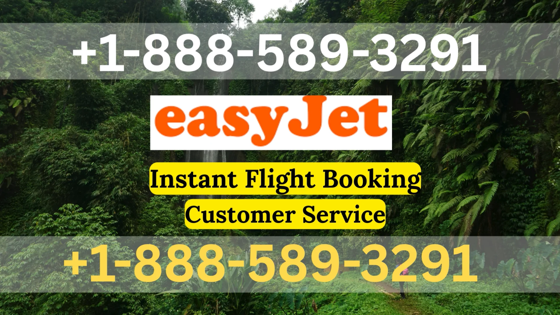 Easyjet Airlines &trade; Customer Service Official Guide Step-by-Step Help & Support Easyjet Airlines&reg;