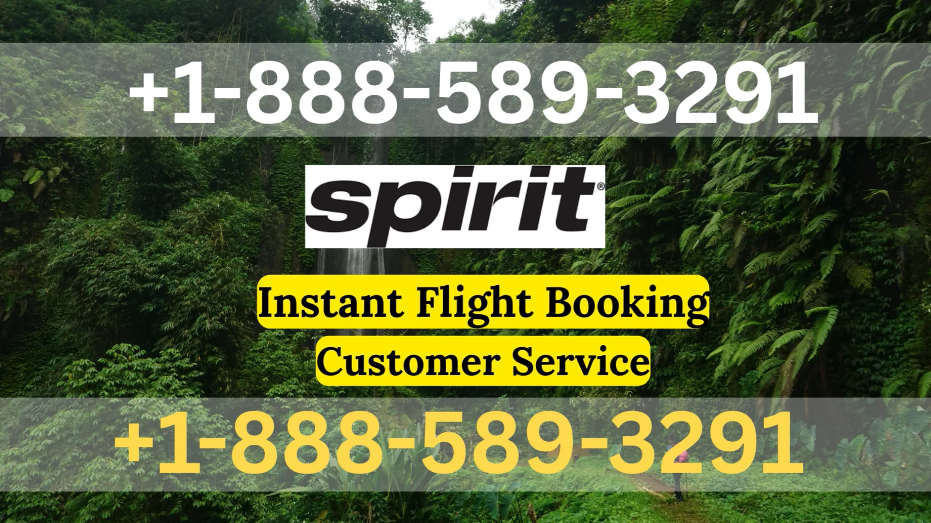 {Official~Support} Spirit Airlines&trade;&reg; Customer Service Simple Guide | Step-by-Step Help & Support Explained