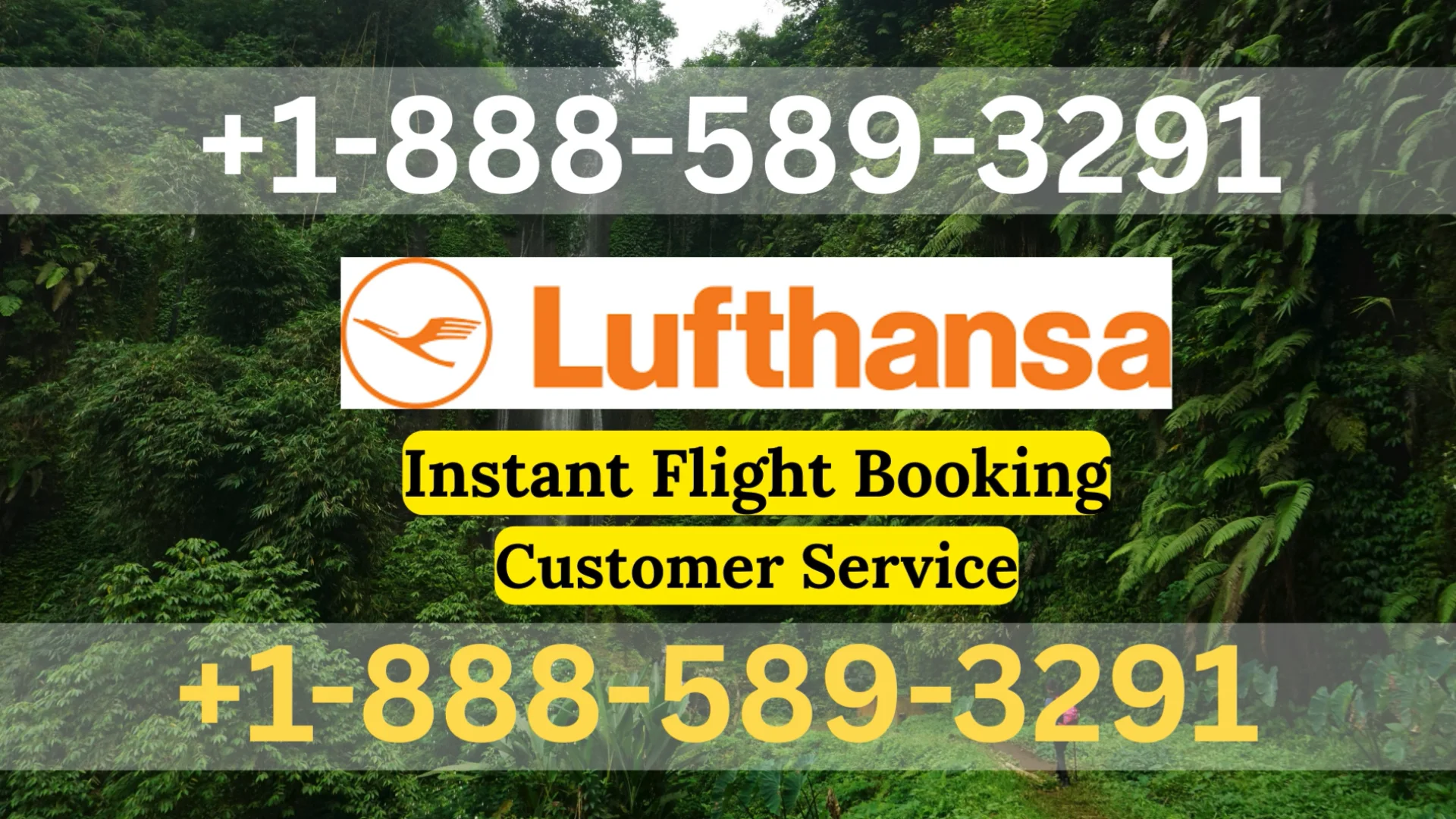 Lufthansa Airlines&reg;&reg; Customer Service Complete Guide ⟶ Step-by-Step Help & Support 24/7 Lufthansa Airlines