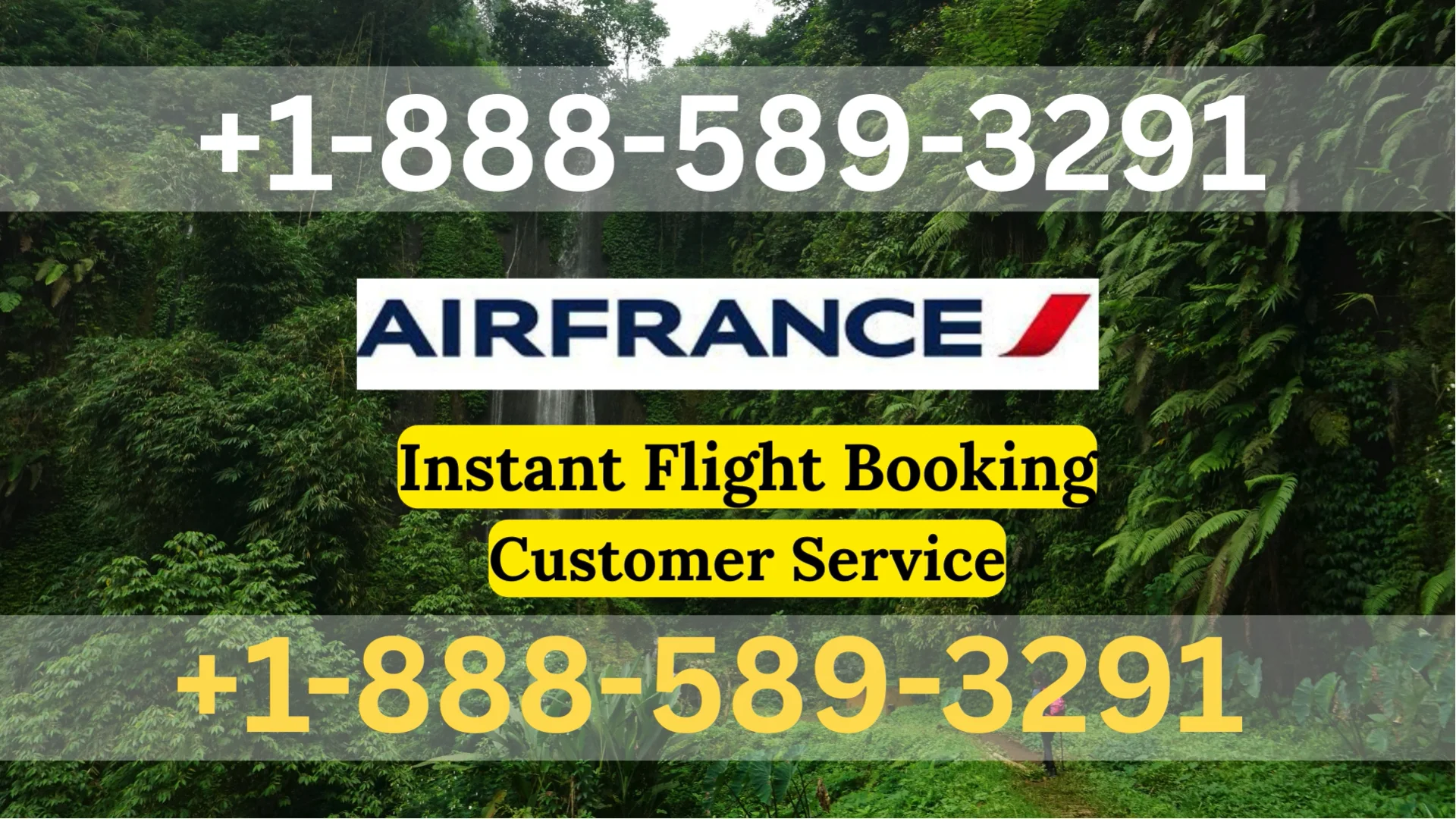 Air France Airlines&reg; Customer Service Complete Guide {Step-by-Step Help & Support 247 Air France Airlines}