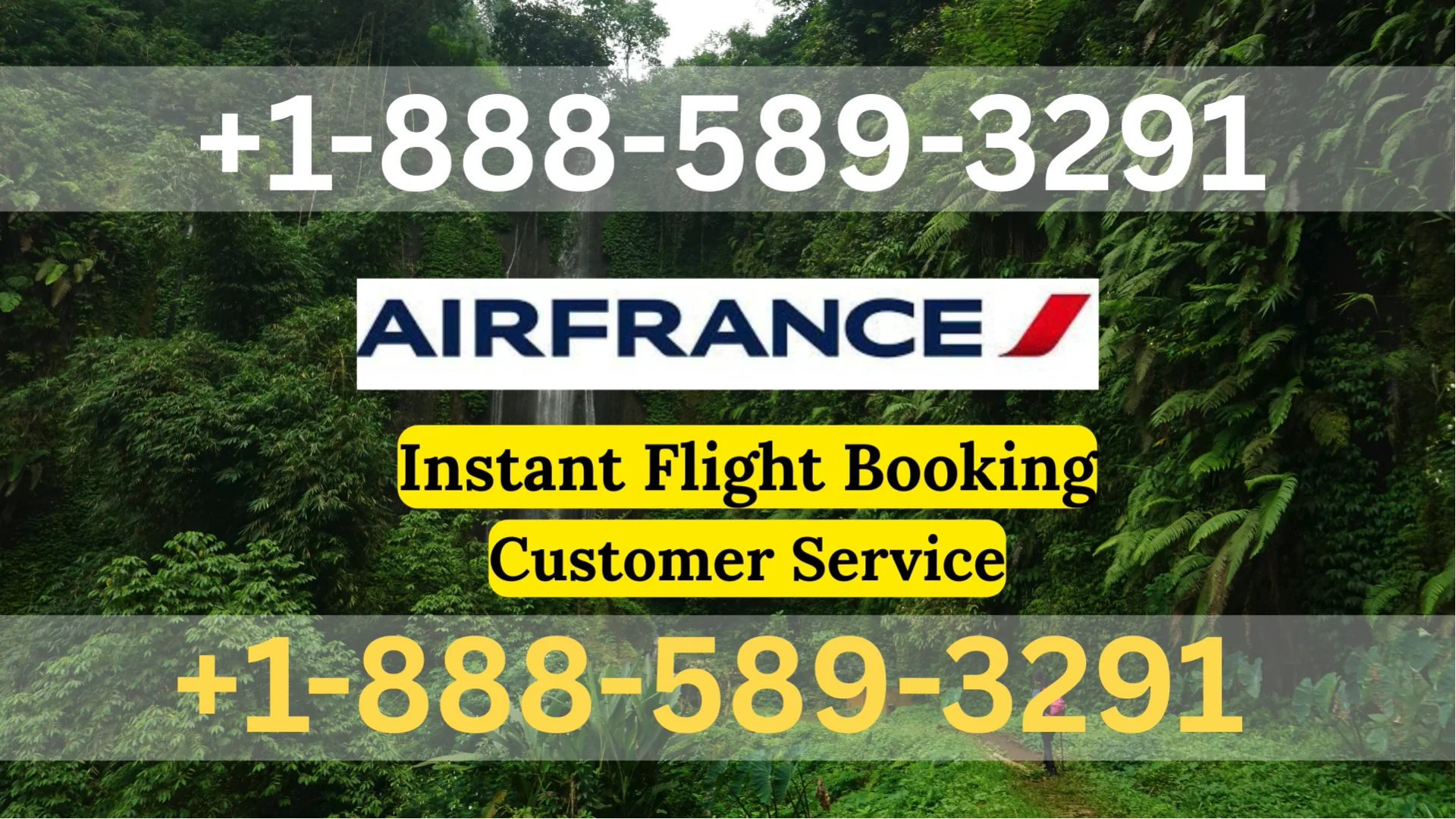 Official Air France Airlines&reg; Customer Service: How to Contact Air France Airlines&reg; | 24/7 Live Help & Support