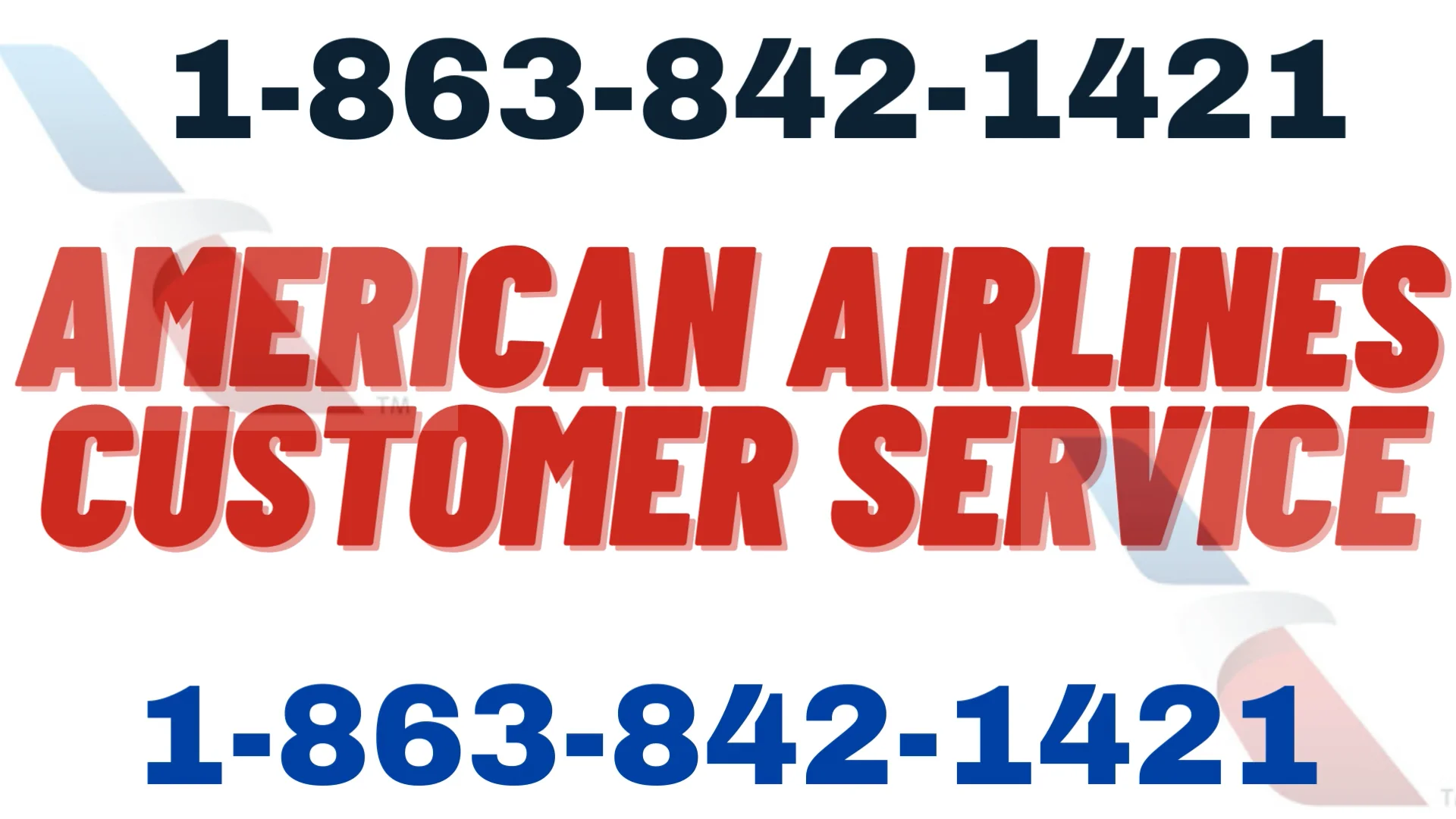 American Airlines&reg; Customer Service Complete Guide = Step-by-Step Help & Support 24/7 American Airlines