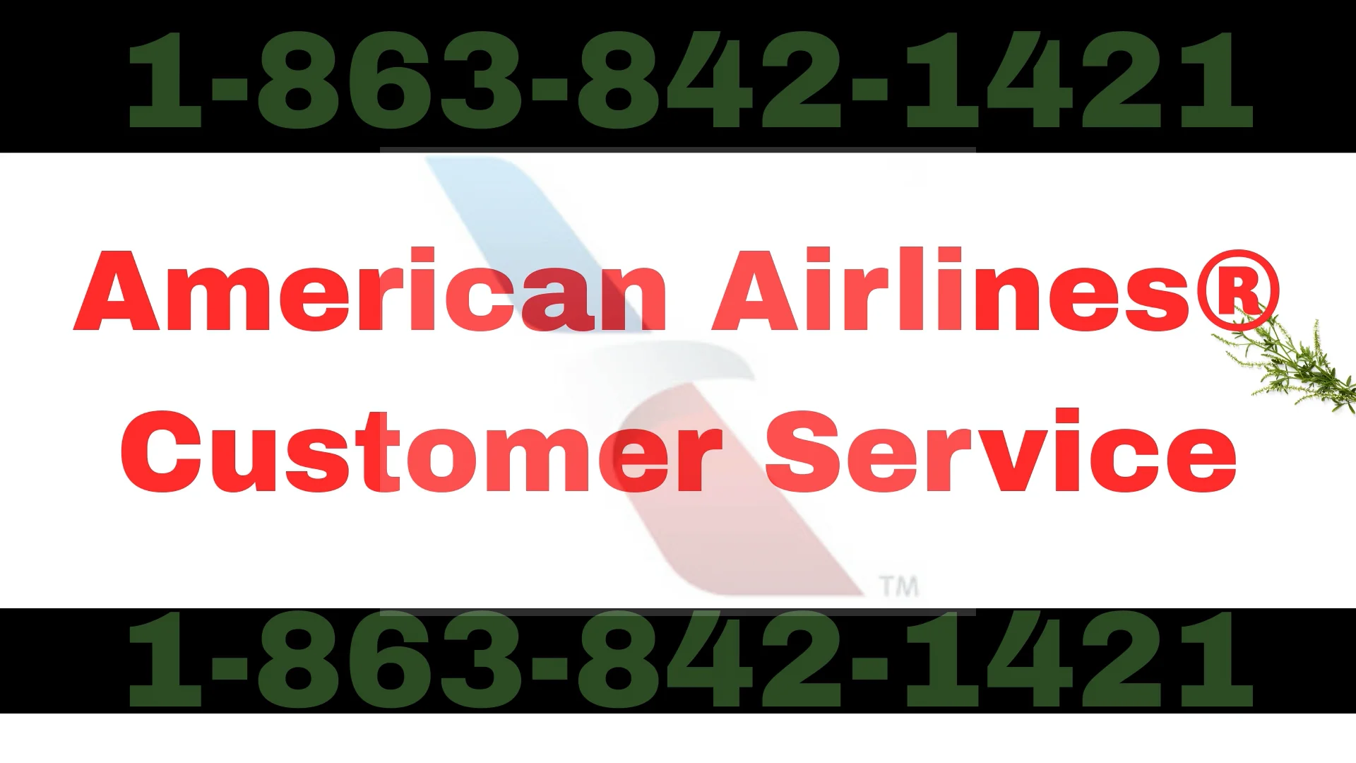 American Airlines&reg; Customer Service Complete Guide = Step-by-Step Help & Support 24/7 American Airlines
