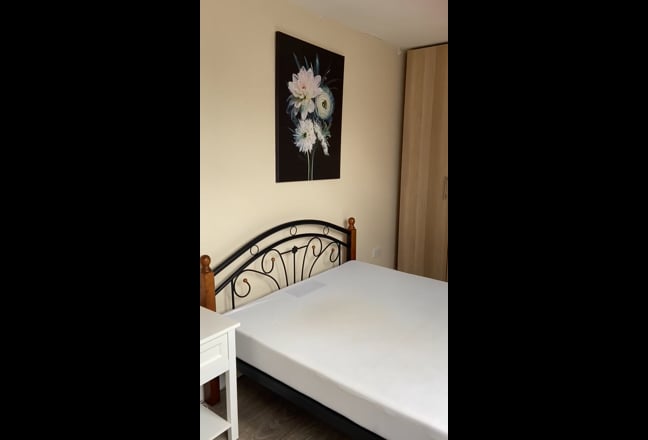 Newly decorated house for rent, E15 Main Photo