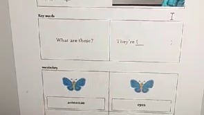 a7245135-ad18-4d5f-ad92-152db52ad494.mp4