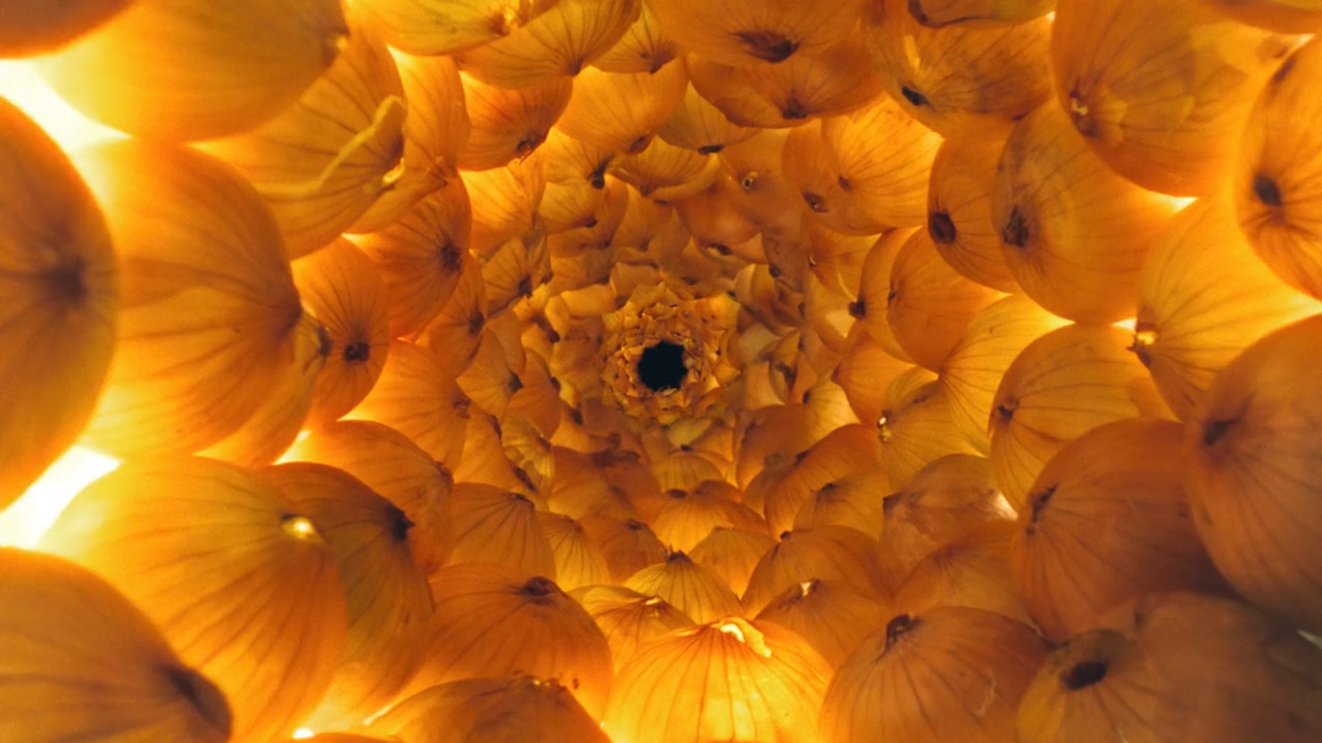 Red Rock Deli - Savour The Advenure