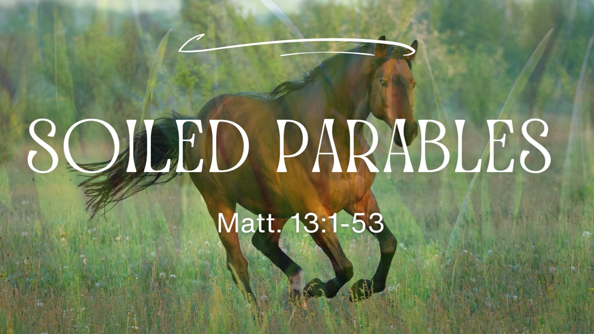 Mar 8 , 2026 - Soiled Parables